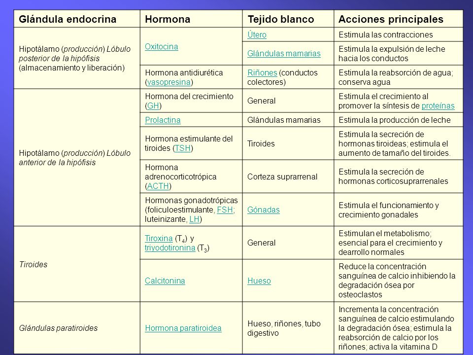 Glandulas hormonas y sus funciones